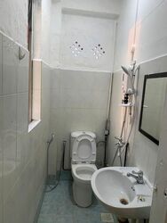 Lorong 23 Geylang (D14), Shop House #602332031